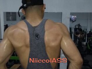 NiiccolASS