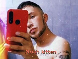 Noah_kitten
