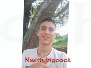 Nasttybigcock