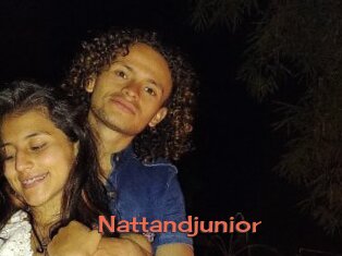 Nattandjunior
