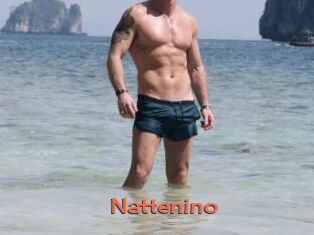 Nattenino
