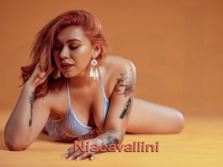 Niacavallini