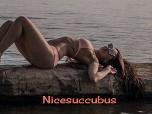 Nicesuccubus