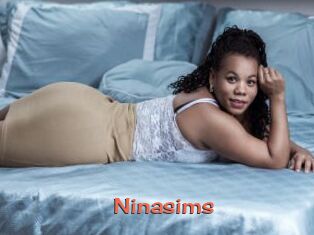 Ninasims