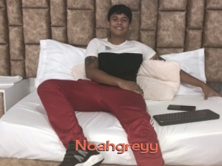 Noahgreyy