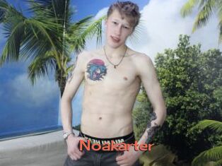 Noakarter