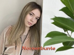 Noreenbunte