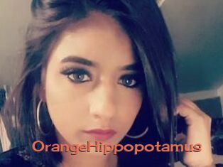 OrangeHippopotamus