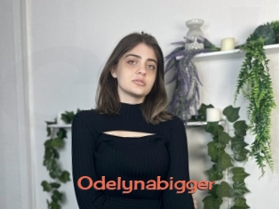 Odelynabigger