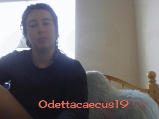Odettacaecus19