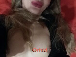 Orhid