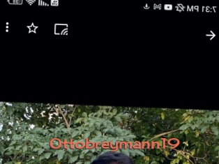 Ottobreymann19