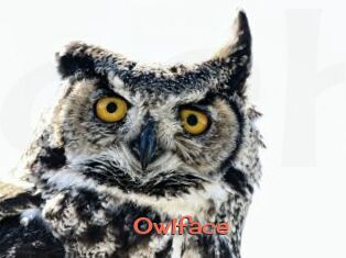 Owlface