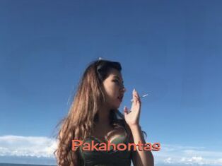 Pakahontas