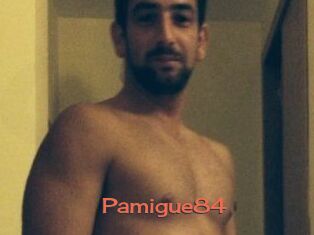 Pamigue84