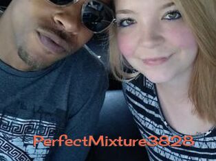 PerfectMixture3828
