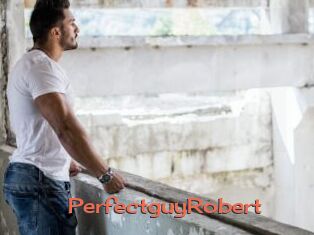 PerfectguyRobert