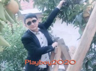 Playboy2020