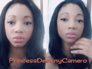 PrincessDestinyCamero