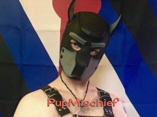 PupMischief