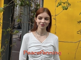 Peacefenning