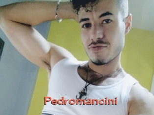 Pedromancini