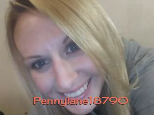 Pennylane18790