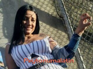 Peytonumalatin