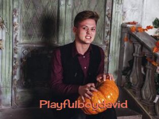 Playfulboydavid