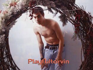 Playfultorvin