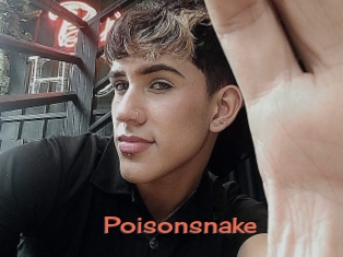Poisonsnake