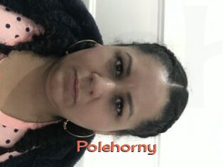 Polehorny