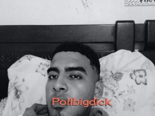 Pollbigdick
