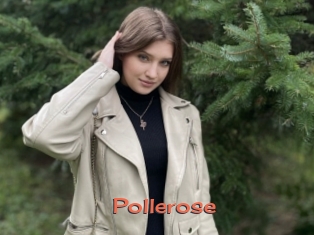 Pollerose