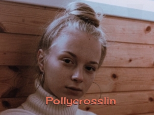 Pollycrosslin