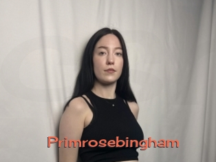 Primrosebingham