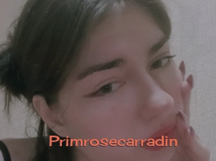 Primrosecarradin