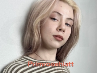Primrosehiatt