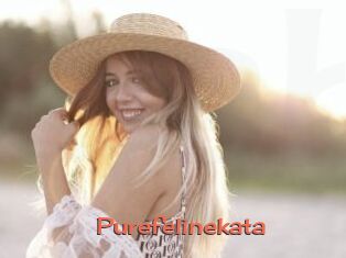 Purefelinekata