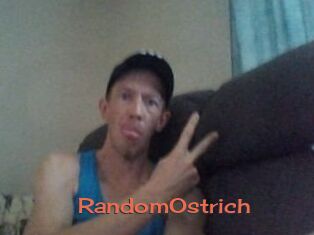 RandomOstrich