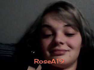RoseA19