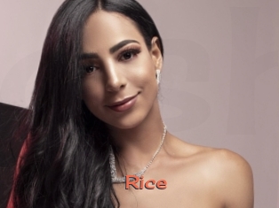 Rice