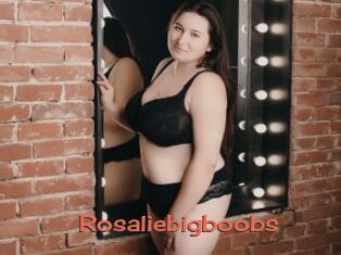 Rosaliebigboobs