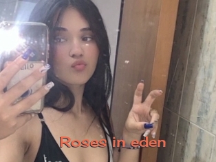 Roses_in_eden