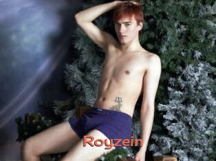 Royzein