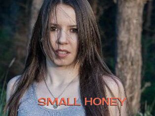 SMALL_HONEY