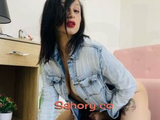 Sahory_co
