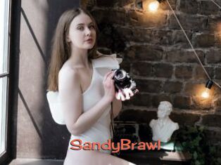 SandyBrawl