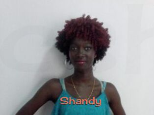 Shandy