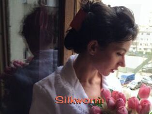 Silkworm